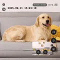 TESLA SecureQ SC10 - vnitřní smart kamera