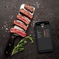 TESLA Cook BBQ150 - Smart teplotní sonda