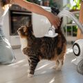TESLA PetCare Station TQ500 Pro - sada pro péči o srst domácích mazlíčků