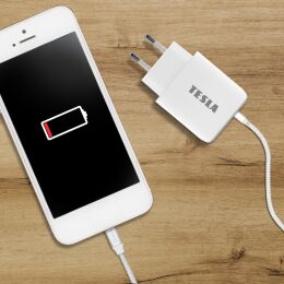 TESLA Power Charger T220 - duální rychlonabíječka 25 W PD 3.0/PPS (bílá barva)